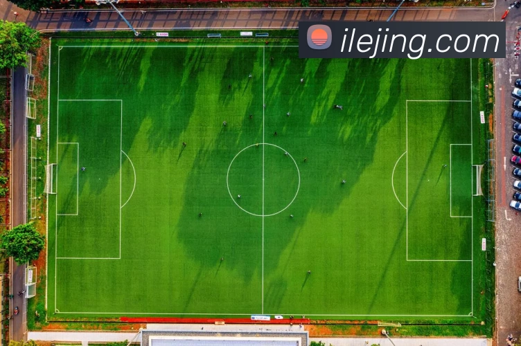 App Interface Preview